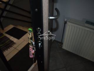 ΘΩΡΑΚΙΣΜΕΝΗ ΠΟΡΤΑ