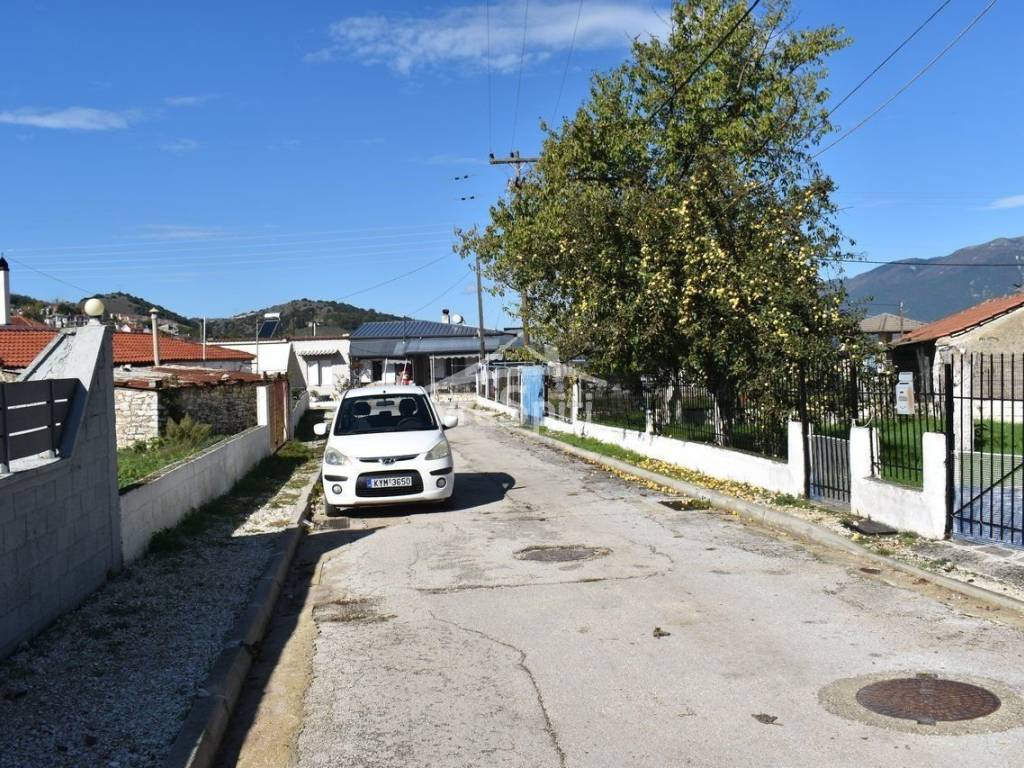 ΑΠΟΨΗ ΟΙΚΟΠΕΔΟΥ