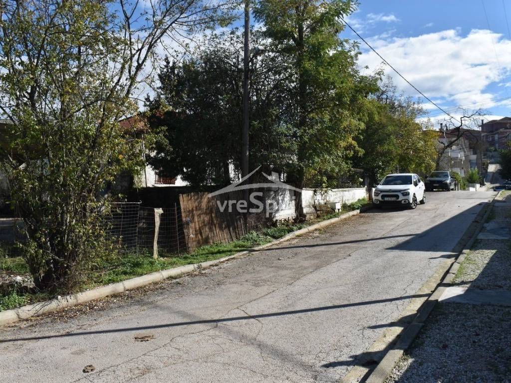 ΑΠΟΨΗ ΟΙΚΟΠΕΔΟΥ