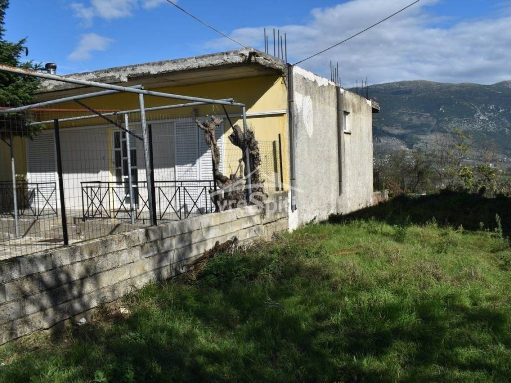 ΑΠΟΨΗ ΟΙΚΟΠΕΔΟΥ