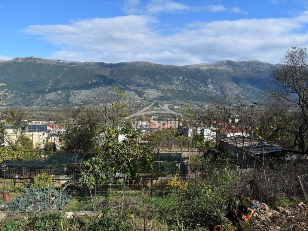 ΑΠΟΨΗ ΟΙΚΟΠΕΔΟΥ