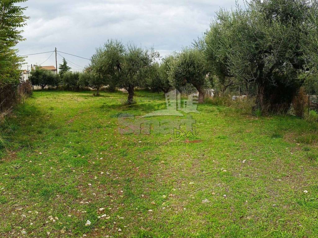 Εξωτερικοι χώροι