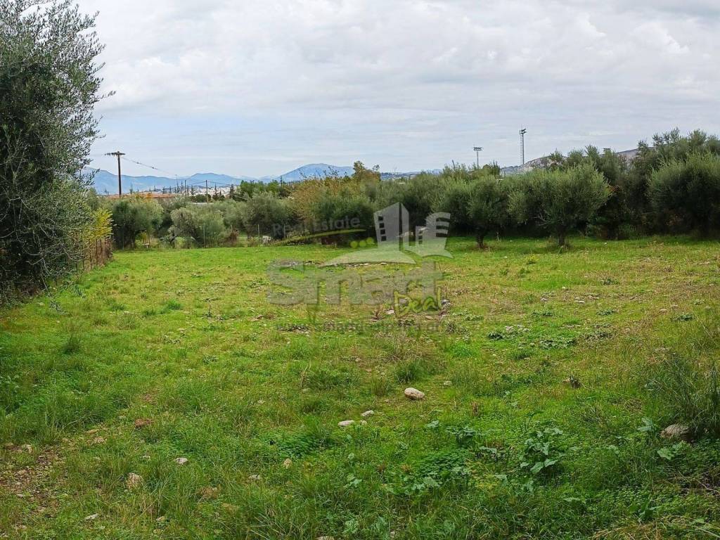 Εξωτερικοι χώροι