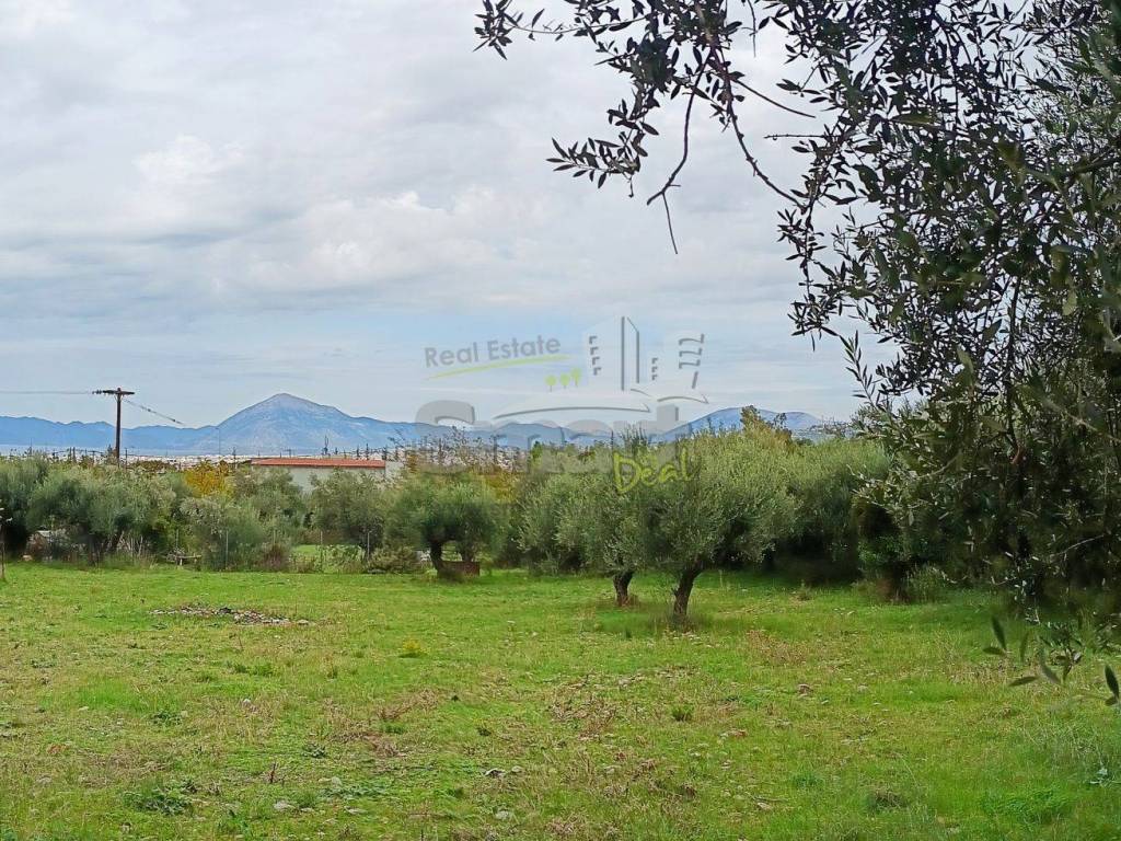 Εξωτερικοι χώροι