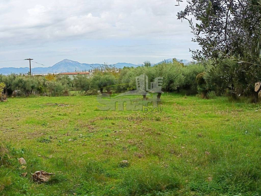 Εξωτερικοι χώροι