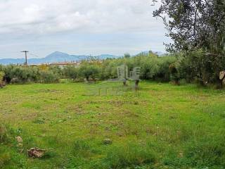 Εξωτερικοι χώροι