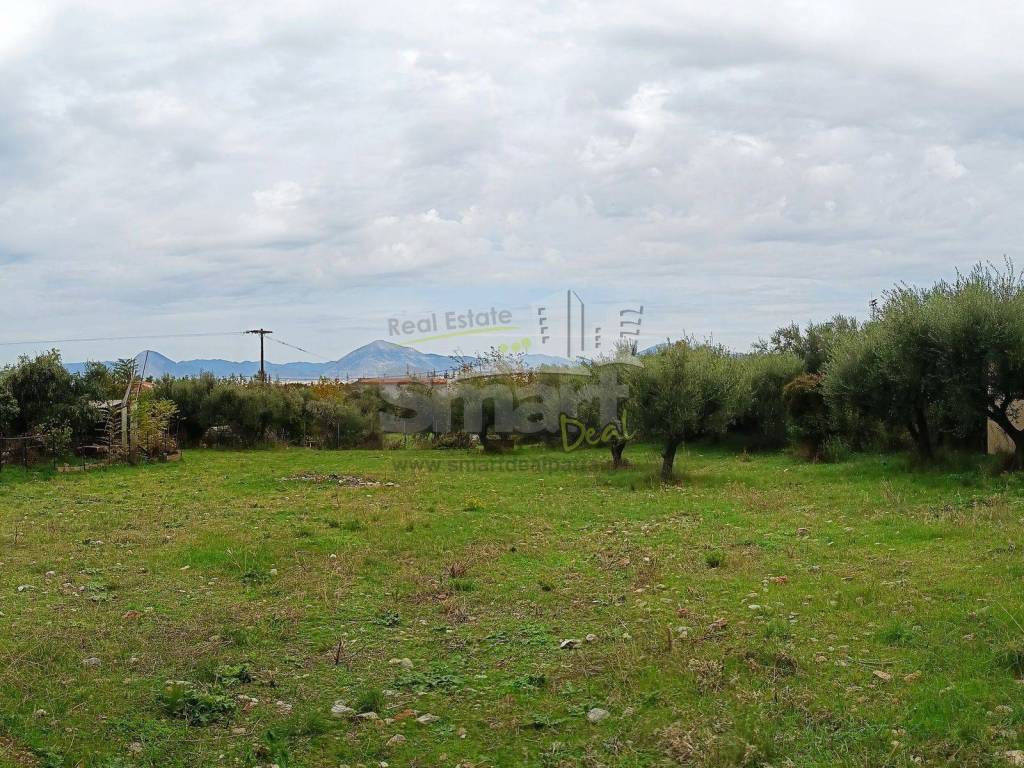 Εξωτερικοι χώροι