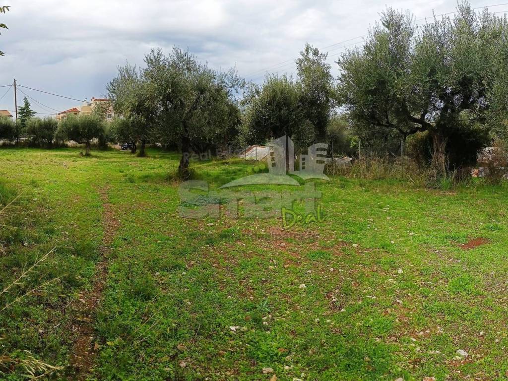 Εξωτερικοι χώροι