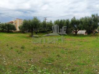 Εξωτερικοι χώροι