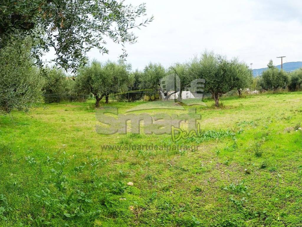 Εξωτερικοι χώροι