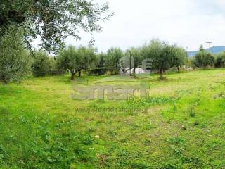 Εξωτερικοι χώροι