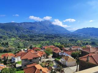 ΣΕ ΟΜΟΡΦΗ ΚΑΙ ΗΣΥΧΗ ΠΕΡΙΟΧΗ, ΜΕ ΚΑΛΟ ΚΛΙΜΑ