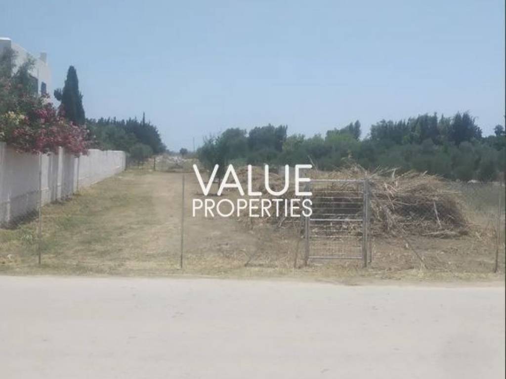 Εξωτερικοι χώροι