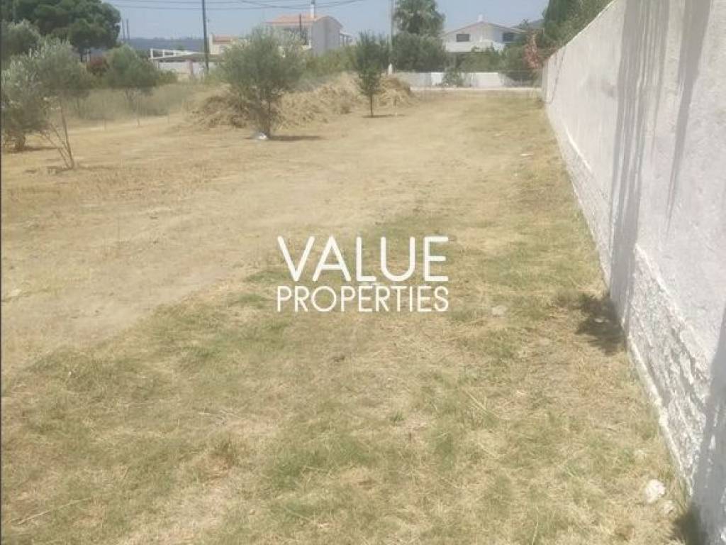 Εξωτερικοι χώροι