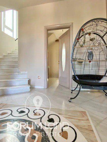 Forumland Real Estate, Εσωτερικές Σκάλες