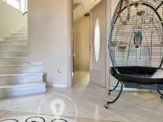 Forumland Real Estate, Εσωτερικές Σκάλες