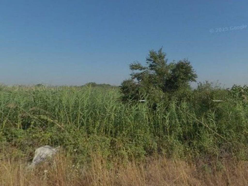 Forumland Real Estate, Αγροτεμάχιο