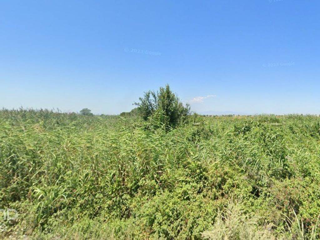 Forumland Real Estate, Αγροτεμάχιο