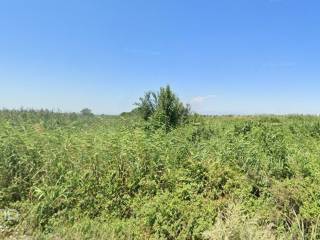 Forumland Real Estate, Αγροτεμάχιο