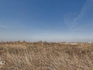 Forumland Real Estate, Αγροτεμάχιο