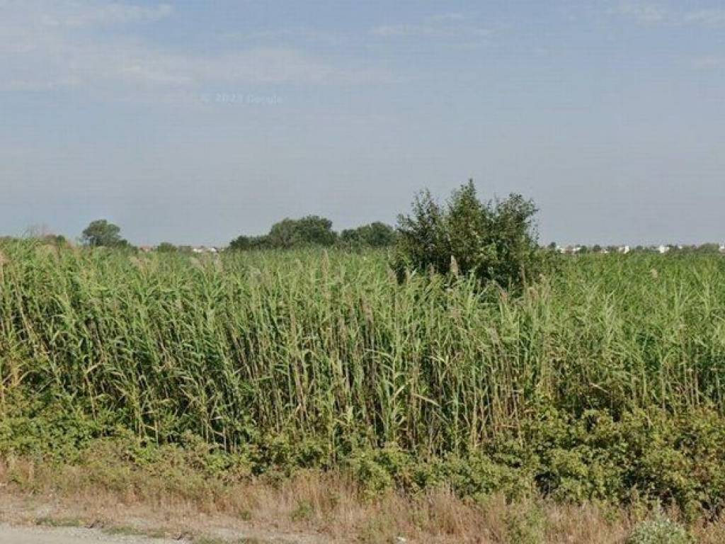 Forumland Real Estate, Αγροτεμάχιο