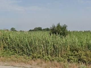 Forumland Real Estate, Αγροτεμάχιο