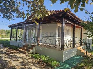 Κεντρική Είσοδος