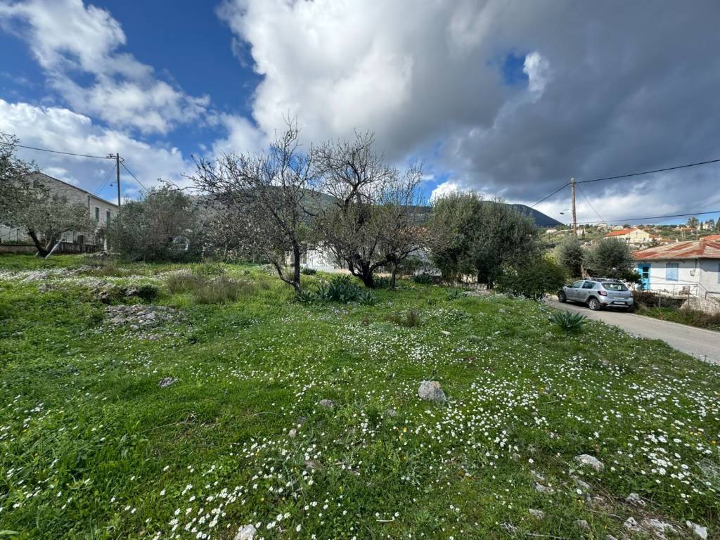 Terrain and landscape