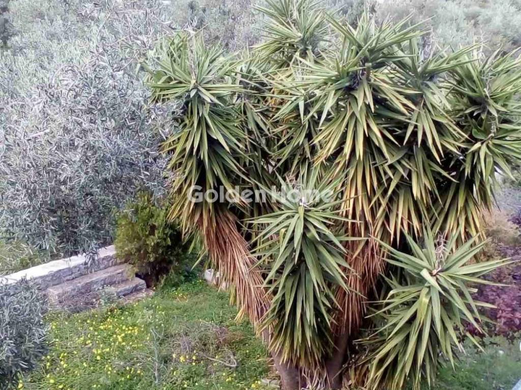 Εξωτερικός Χώρος