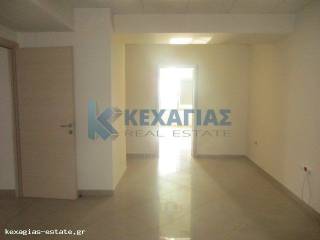 ΕΣΩΤΕΡΙΚΗ ΛΗΨΗ