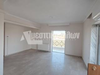 Σαλοκουζίνα