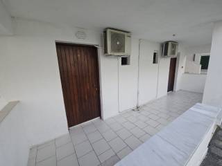 Apartment - Grekodom 64798|1028850