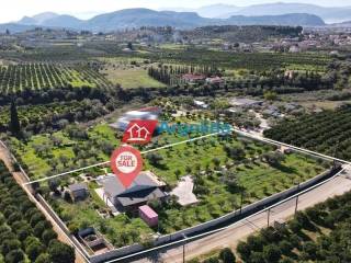 Ύπαρξη ανθρώπου