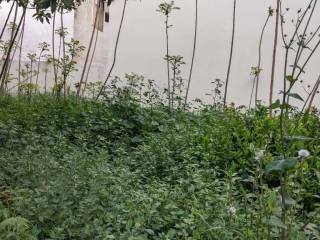 Building - Grekodom 62875|975410