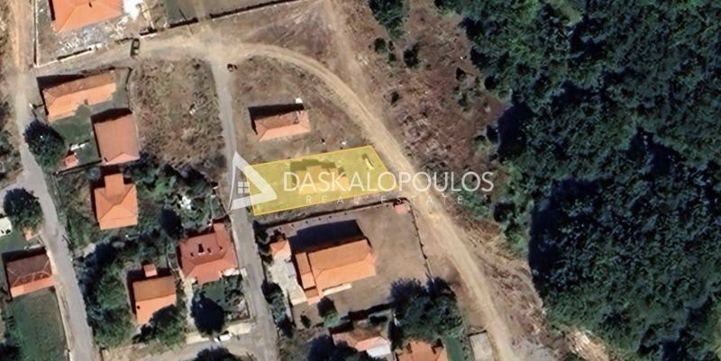 Ύπαρξη ανθρώπου