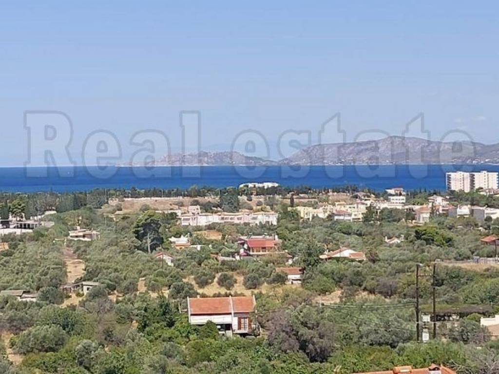 ΘΕΑ ΘΑΛΑΣΣΑ