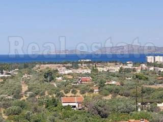 ΘΕΑ ΘΑΛΑΣΣΑ