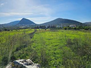 buildable plot within the settlement of Lefkakia