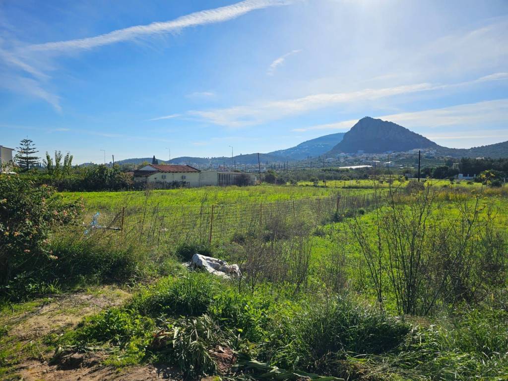 buildable plot within the settlement of Lefkakia