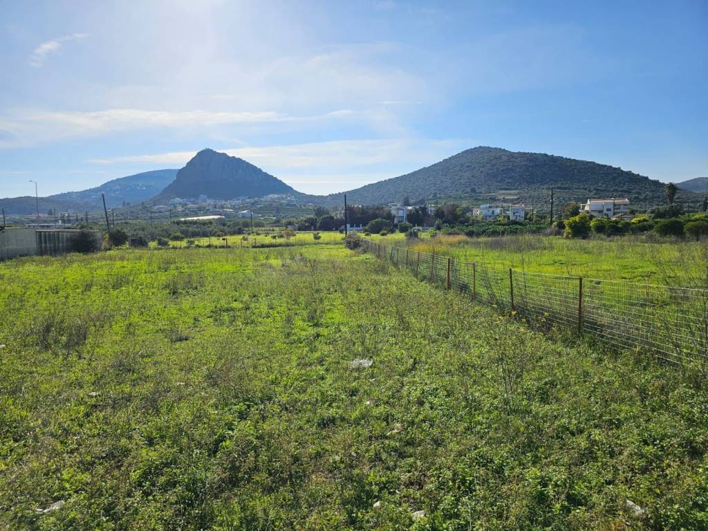 buildable plot within the settlement of Lefkakia