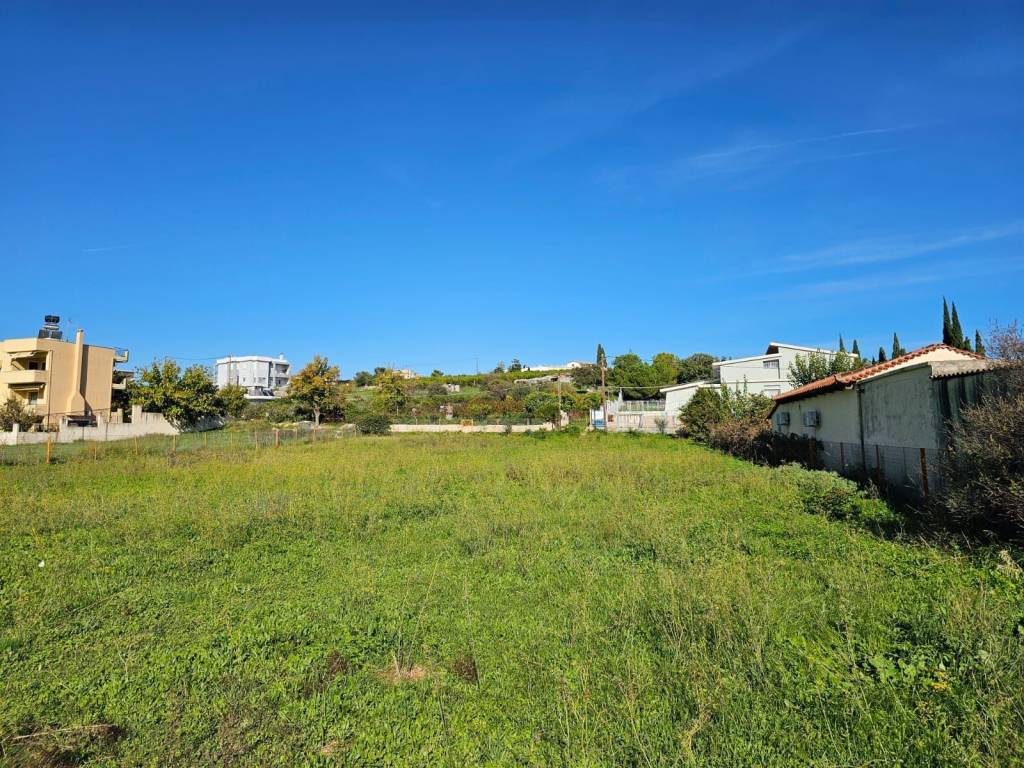 buildable plot within the settlement of Lefkakia