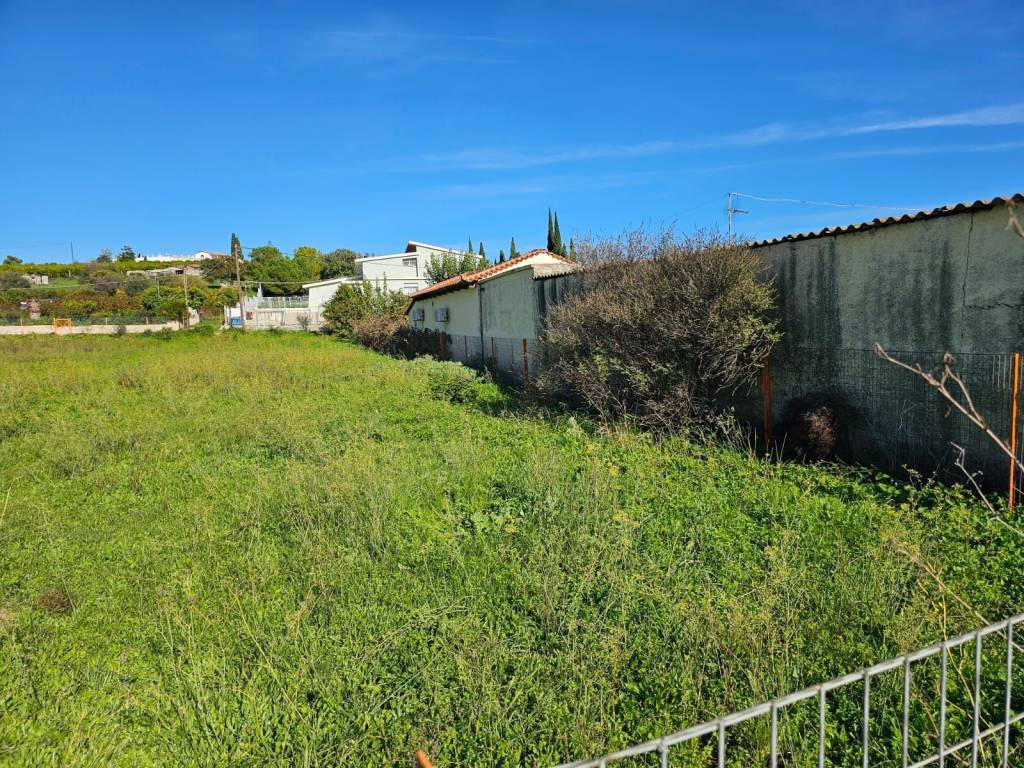 buildable plot within the settlement of Lefkakia