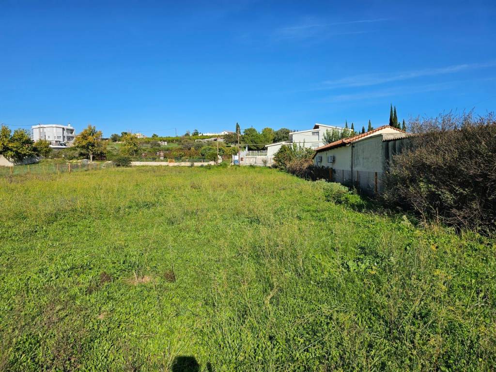 buildable plot within the settlement of Lefkakia