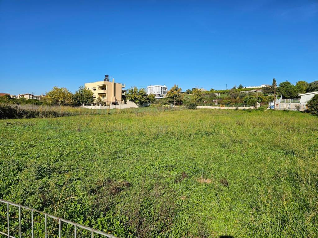 buildable plot within the settlement of Lefkakia