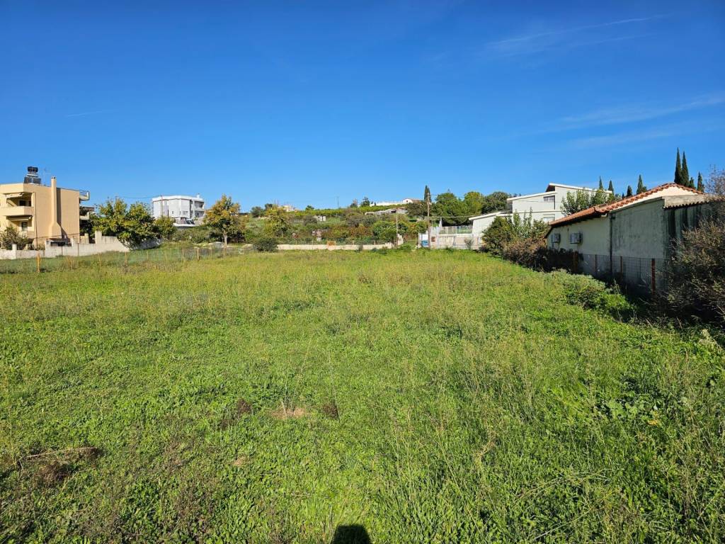 buildable plot within the settlement of Lefkakia