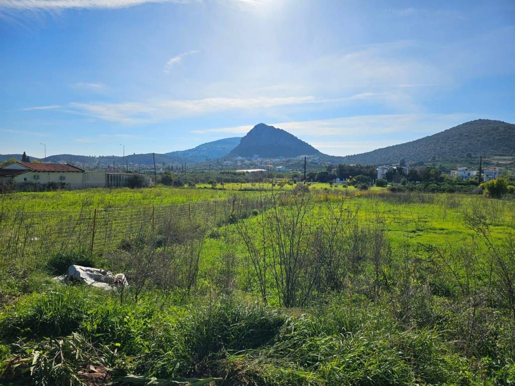 buildable plot within the settlement of Lefkakia