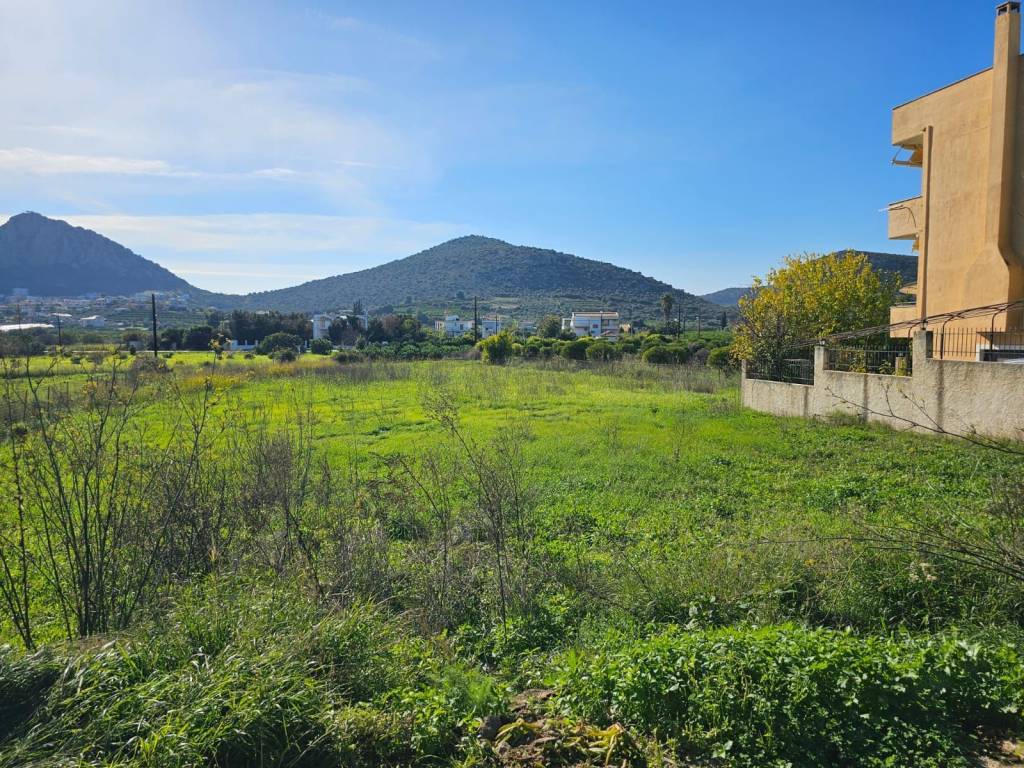 buildable plot within the settlement of Lefkakia