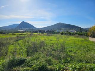 prime and buildable plot within the settlement of Lefkakia