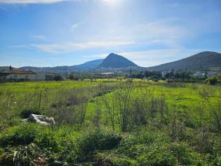 prime and buildable plot within the settlement of Lefkakia
