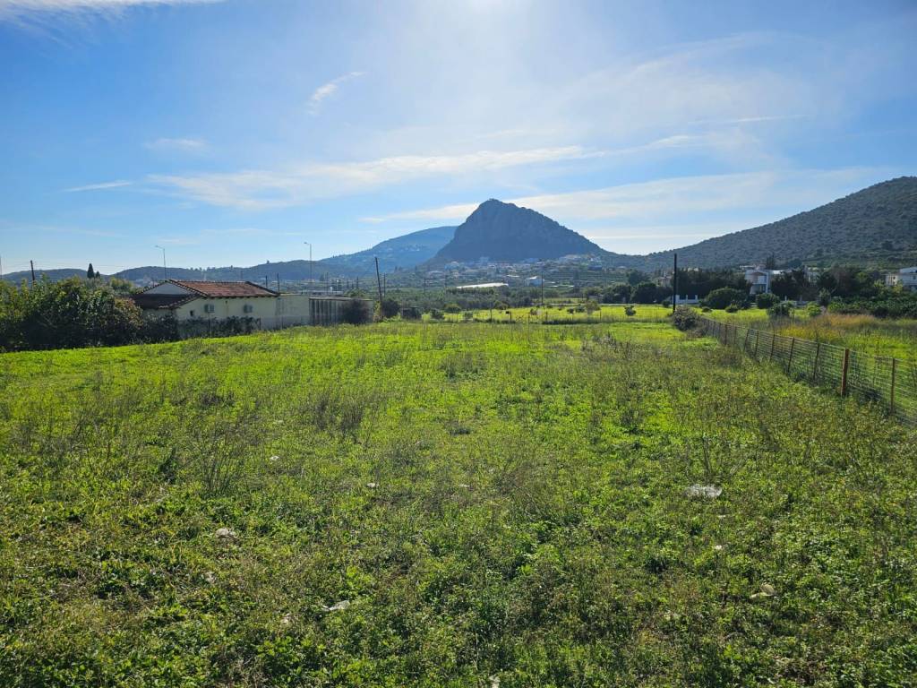 prime and buildable plot within the settlement of Lefkakia